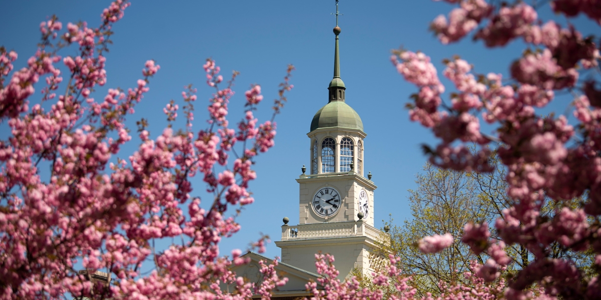 Bertrand Library clock tower surrounded by cherry blossoms
