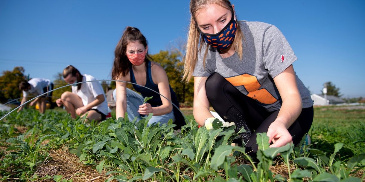 Students working on the Bucknell Farm