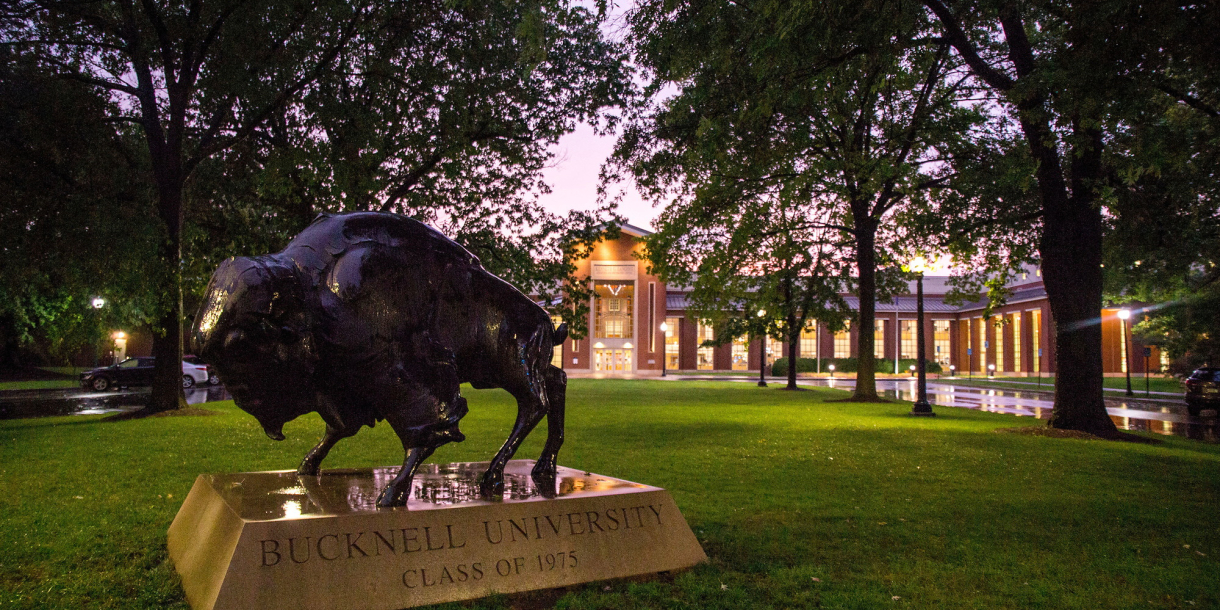 The Bucknell Bison statue stands in front of the Kenneth G. Langone Athletics & Recreation Center