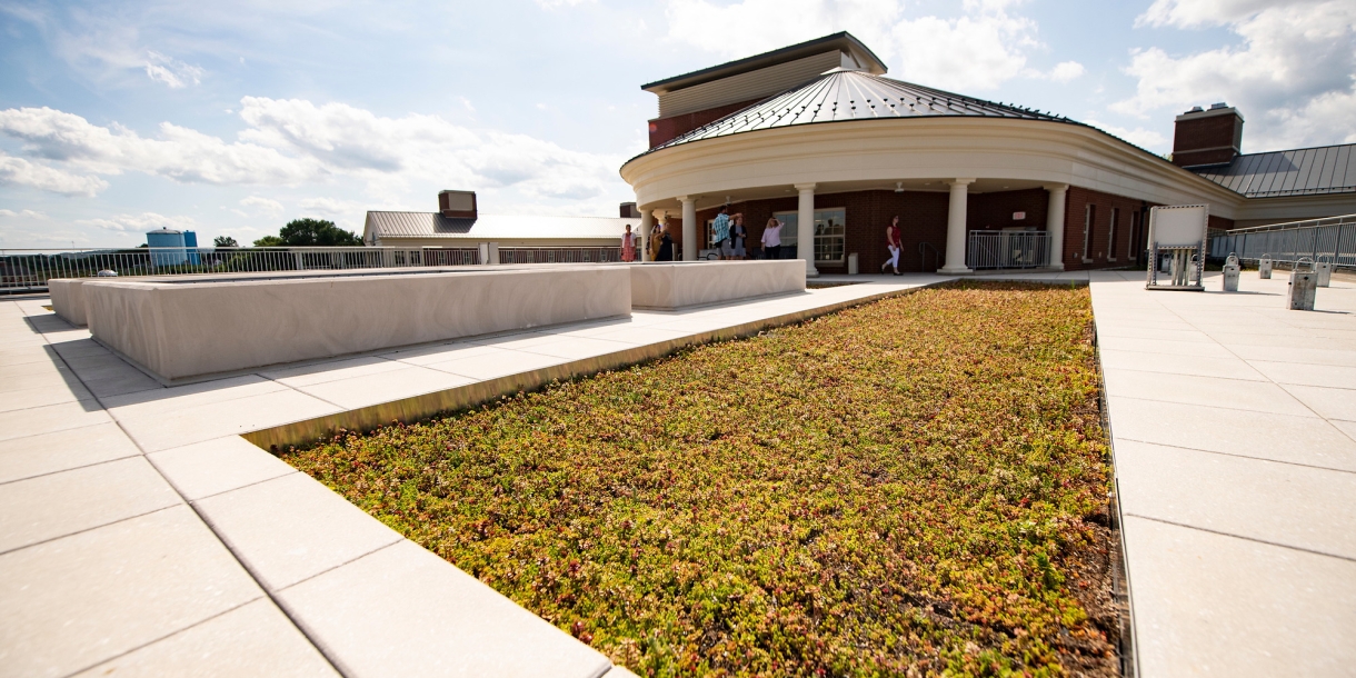 Academic East green roof