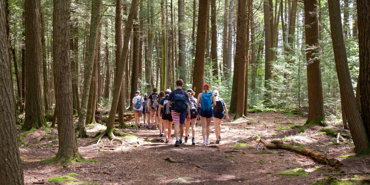Students in the Forest