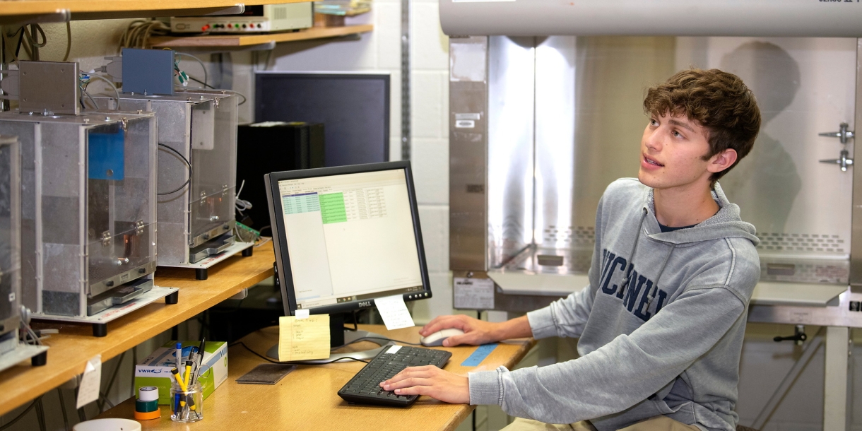 Henry Martin &#039;25 analyzes data on a computer in the lab