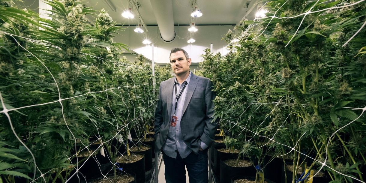 Josh Ginsberg '01 in marijuana growing facility
