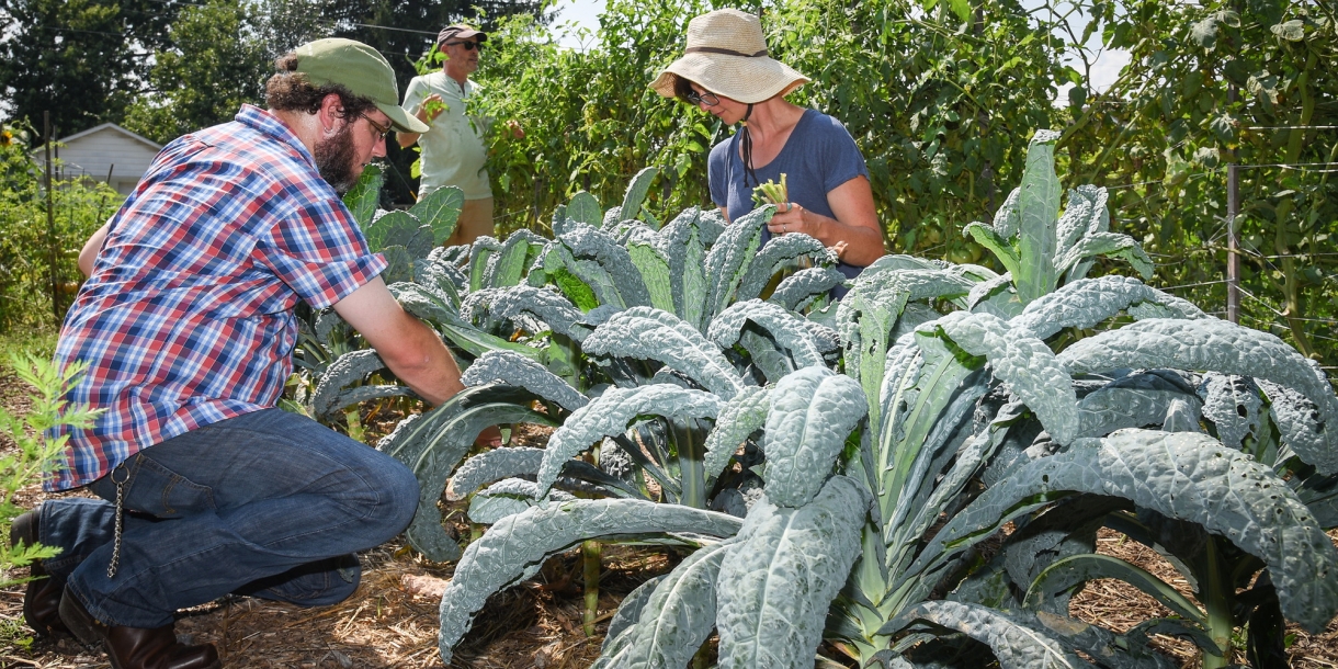 Faculty and staff in the Lewisburg Community Garden