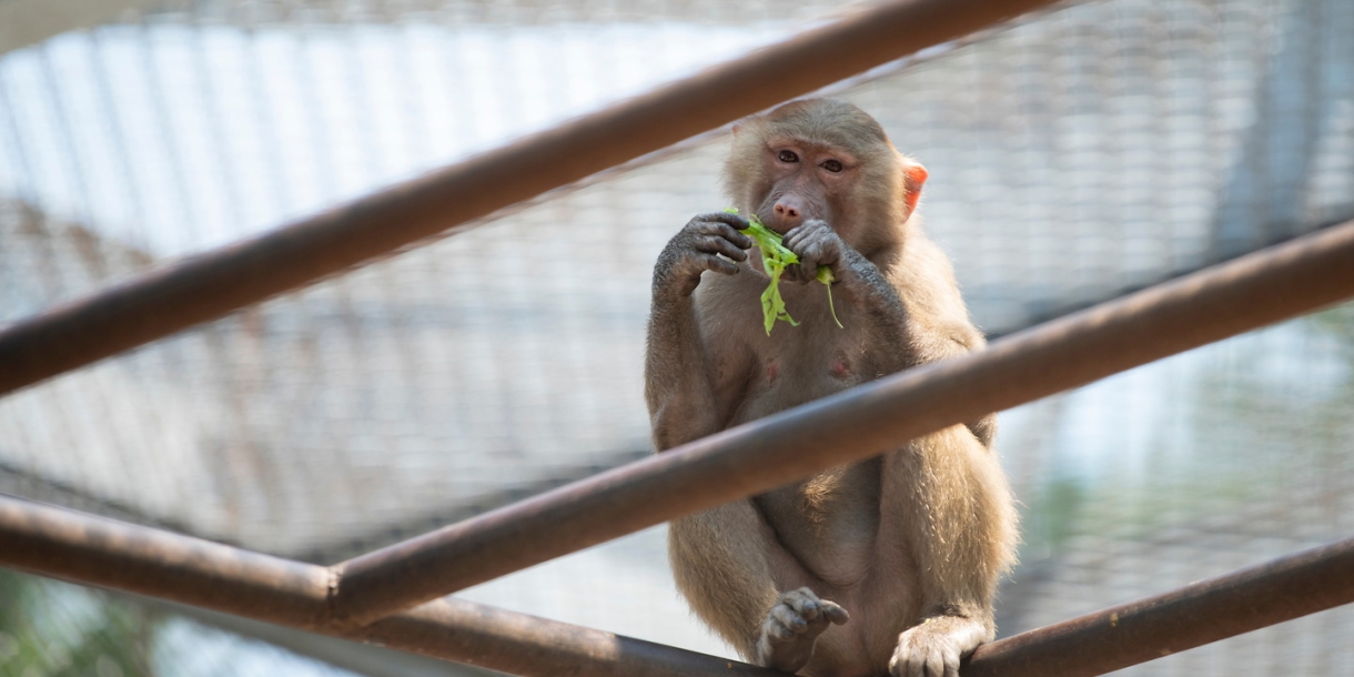 Animal Behavior Majors | Bucknell University Animal Behavior Majors | Bucknell University