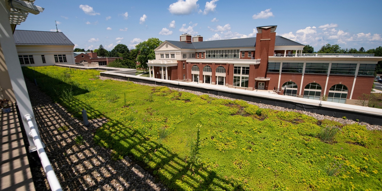 Green roof and view of Academic East