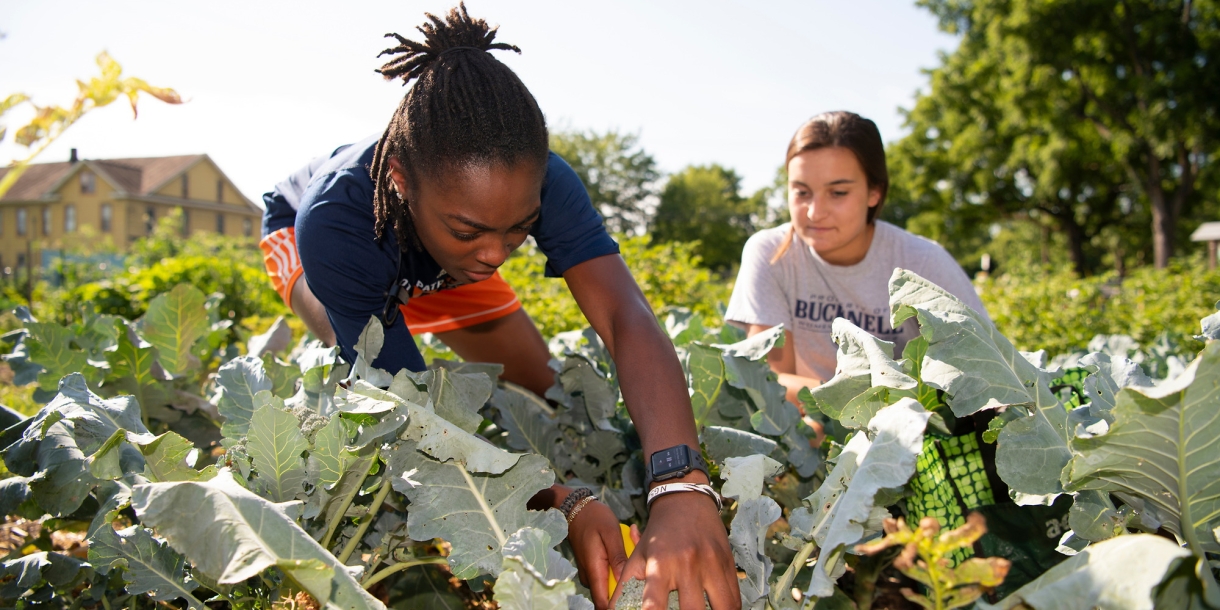 Students in the Community Garden
