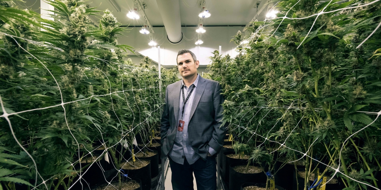 Josh Ginsberg &#039;01 in marijuana growing facility