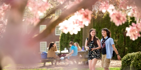 Students walk on campus with a blooming Magnolia tree in the foreground