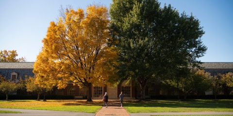 Malesardi Quad in the Fall