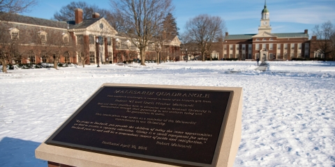Malesardi Quad plaque in winter