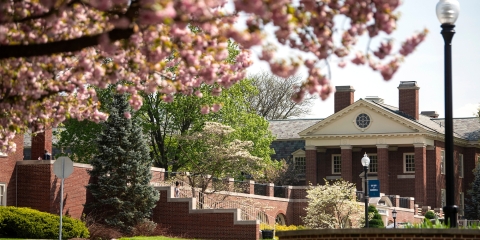 View of cherry blossoms and Coleman Hall