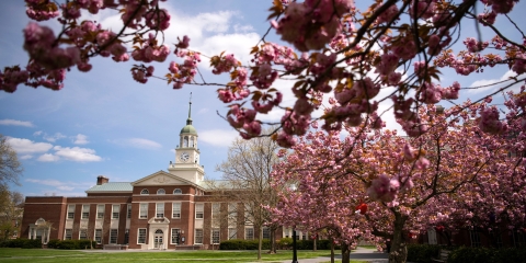 Bertrand Library with blooming cherry blossom trees