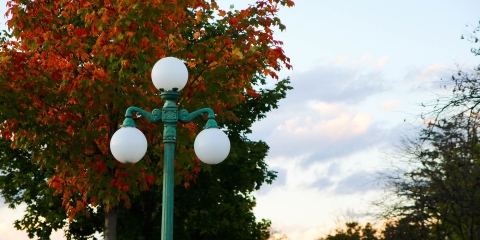 Lamppost in autumn