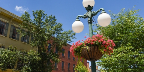 Photo of lamp post in downtown Lewisburg