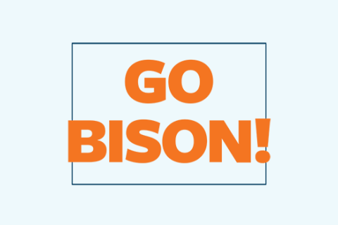 Go Bison Printable Sign
