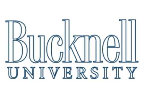 bucknell brand wordmark don outline