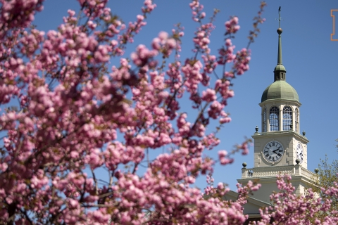 Zoom Background - Rooke Chapel