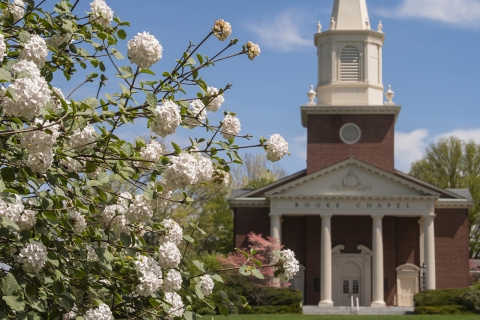 Zoom Background - Rooke Chapel white flowers