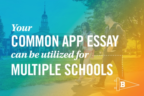 Your common app essay can be used for multiple schools.