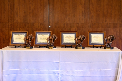 BUAA awards sitting on the table
