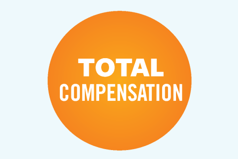 blue circle surrounding the words "total compensation"