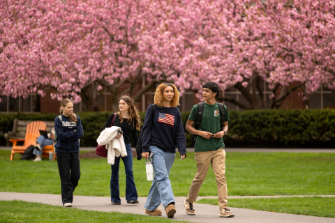Four students walk on a path with cherry blossoms behind them.