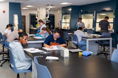 25rookechem330lab