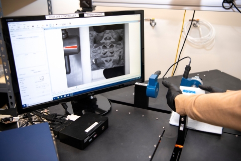 A computer screen displays a scan of a sheep's inner horns