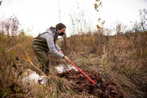 Jordan Isaacs '23 rakes leaves into stream