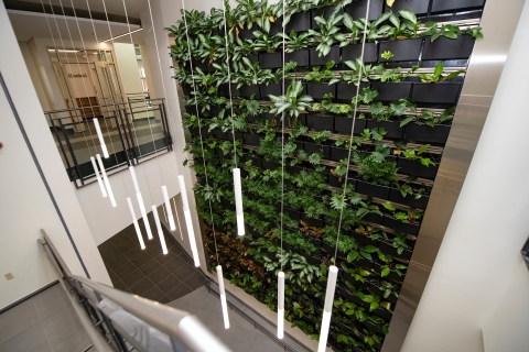 Academic East's living wall