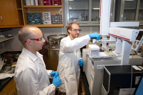 Inspecting Vials in a Lab