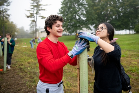 Students planting a tree in a protective tube. 