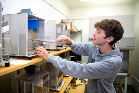 Henry Martin &#039;25 interacts with laboratory equipment