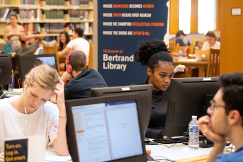 Students studying away in the library