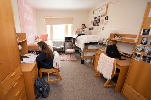 Two students studying in their decorated dorm room