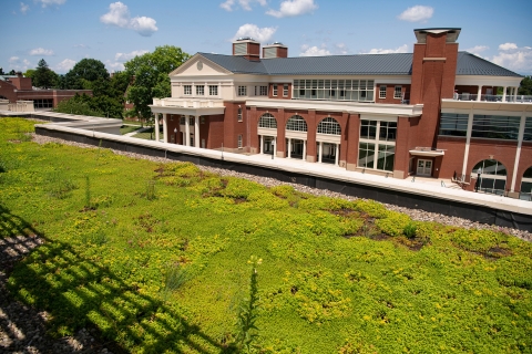 Academic West green roof