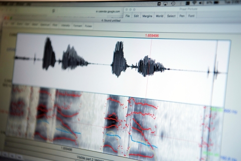 A waveform from a linguistics class