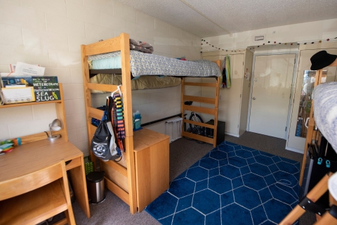 A furnished two bed dorm room with lofted bed at Bucknell.