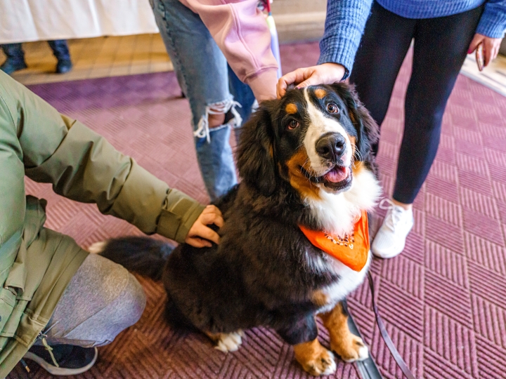 20 Things to Do at Bucknell in 2020