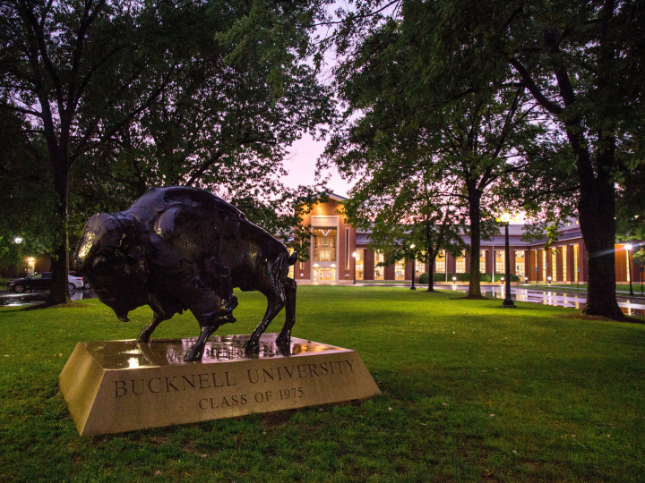 The Bucknell Bison statue stands in front of the Kenneth G. Langone Athletics & Recreation Center