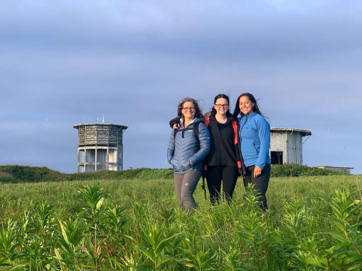 MiddletonIslandBirds