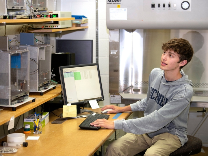 Henry Martin &#039;25 analyzes data on a computer in the lab