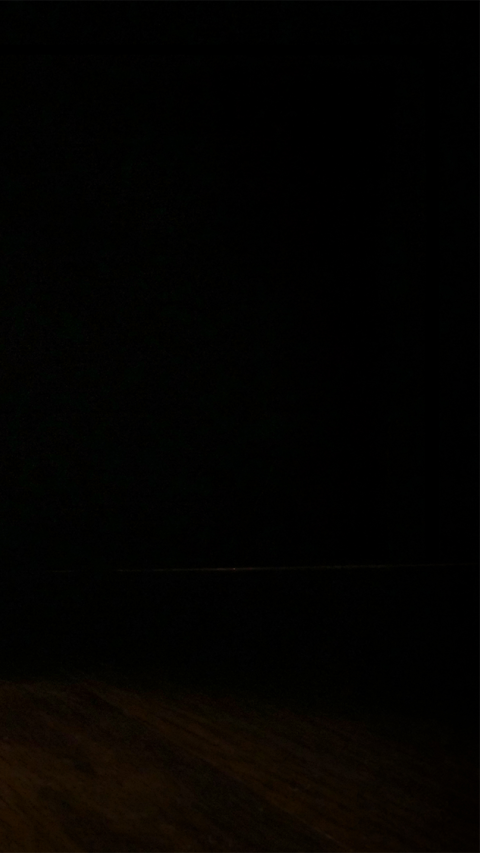 Manual Cinema’s “A Christmas Carol”