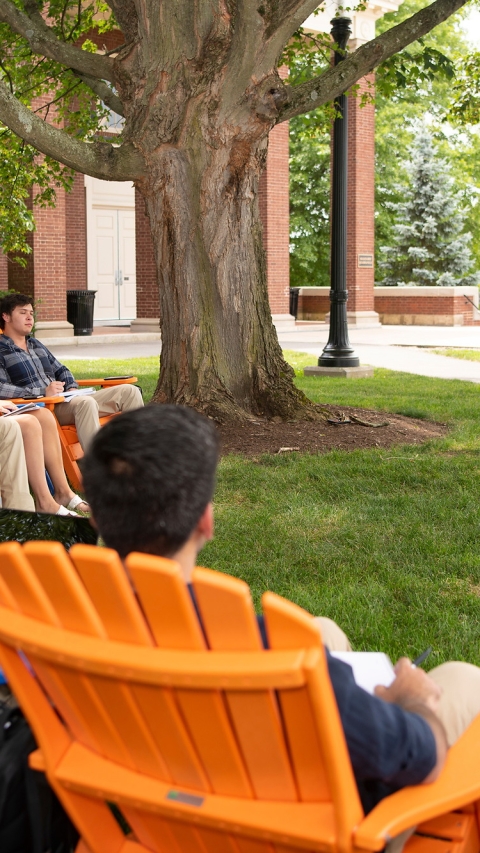 Summer Management Institute on Malesardi Quad