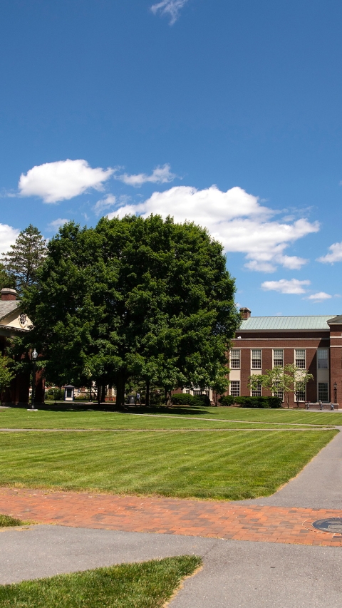 View of Bertrand Library from Malesardi Quad