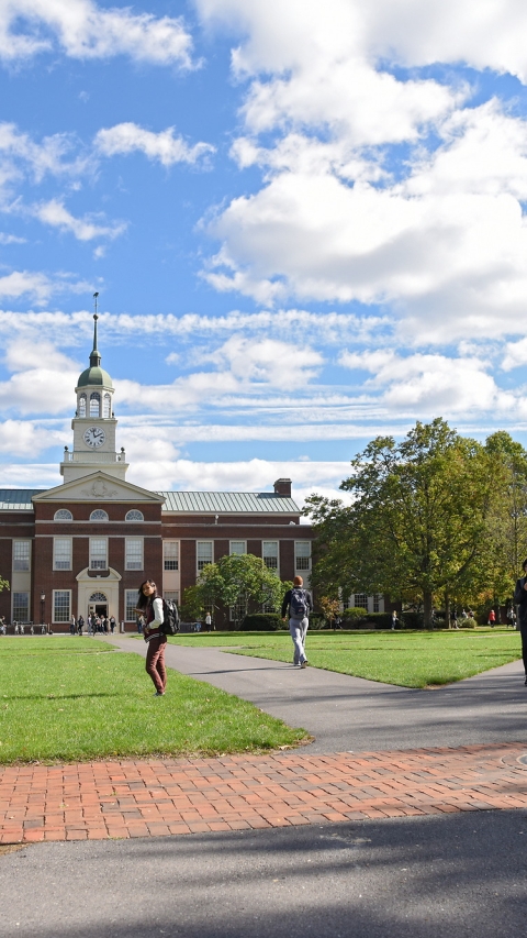 View of Malesardi Quad