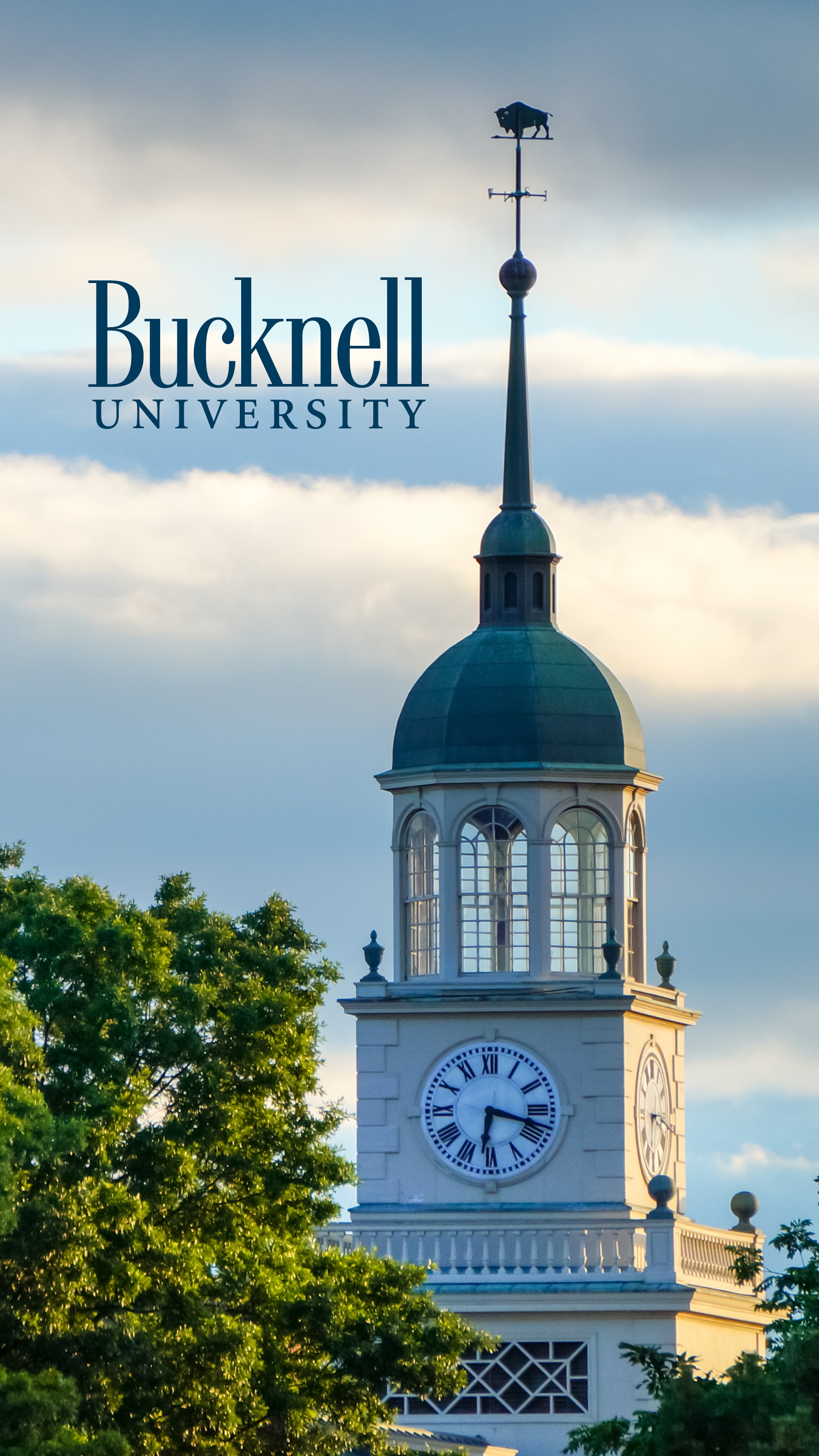 Photo of the Betrand Library Tower