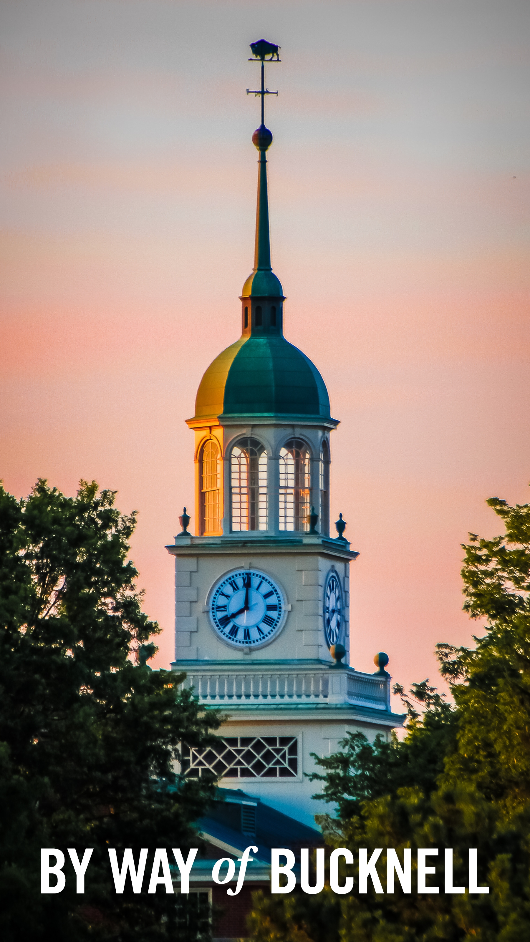 The Betrand Library tower at sunset