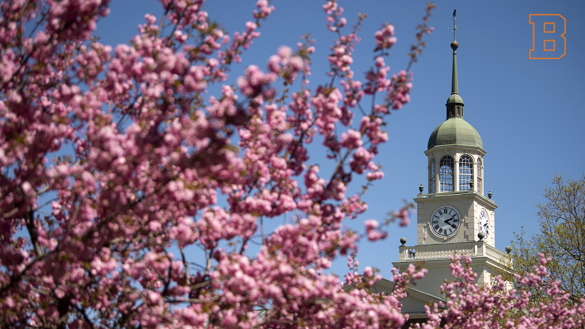 Zoom Background - Rooke Chapel